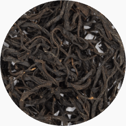 Home | Senchatokyo | Authentic Japanese Sencha Tea  Premium Matcha Shop